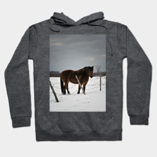 Horse in Winter Hoodie